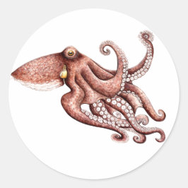 Pegatina Pulpo Octopus vulgaris Ronde Sticker