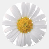 Pegatina Redonda Clásica margarita Ronde Sticker (Voorkant)