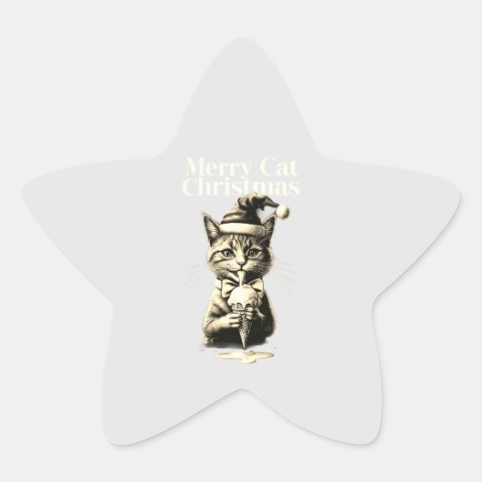  Pegatina Redonda Clásica Pegatinas  Ster Sticker (Voorkant)