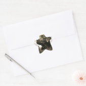 Pegatinas con forma de estrella ster sticker (Envelop)
