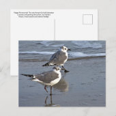 Peggy the One Footed Zee Gull of Galveston, TX Briefkaart (Voorkant / Achterkant)