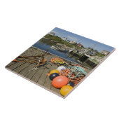 Peggy's Cove, Nova Scotia, Canada 2 Tegeltje (Zijkant)