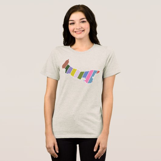 PEI kleuren T-shirt (Voorkant volledig)