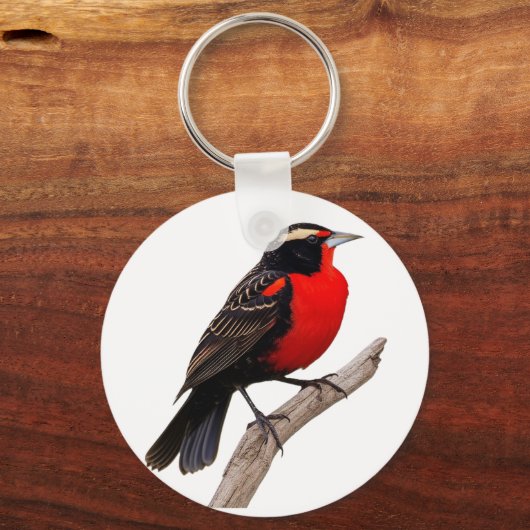  peito-vermelho-grande (Sturnella defilippii), Sleutelhanger (Voorkant)