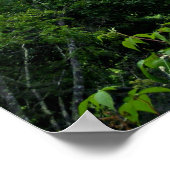 Pek aan de Greenbrier rivier Poster (Hoek)