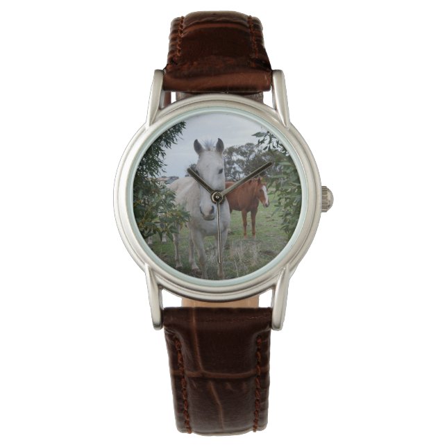 pekaboorpaarden,- horloge (Voorkant)