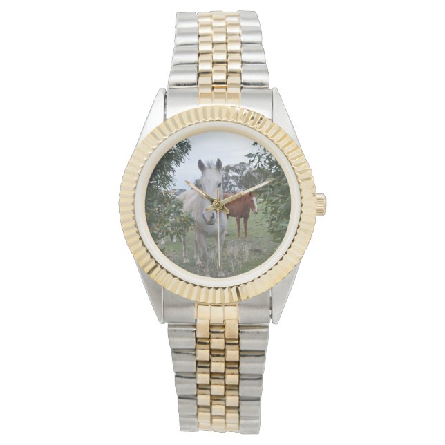 pekaboorpaarden,- horloge (Voorkant)