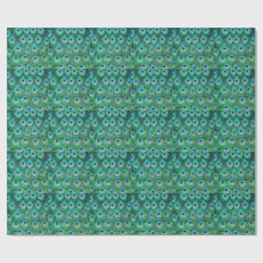 pekeldier - veren cadeaupapier (Vlak)