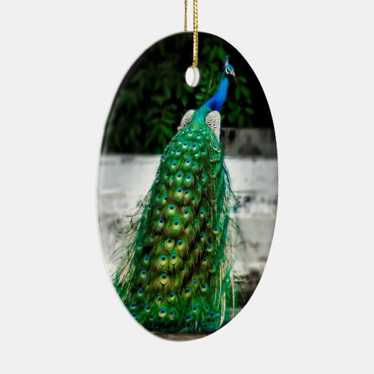 pekelkleurige vederkunstkleuren keramisch ornament (Rechts)