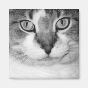 pekelmagneet magneet