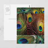 pekelvedercollage briefkaart (Voorkant / Achterkant)