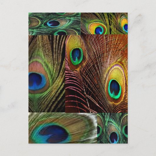 pekelvedercollage briefkaart (Voorkant)