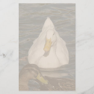 Pekin Duck Birds Stationery Briefpapier