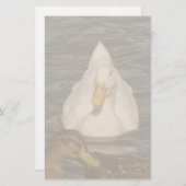 Pekin Duck Birds Stationery Briefpapier (Voorkant / Achterkant)