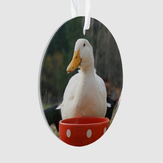 Pekin Duck Ornament (voorkant)