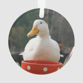 Pekin Duck Ornament