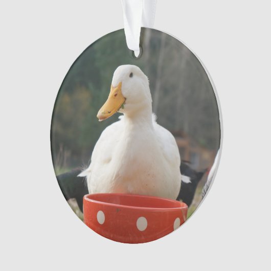Pekin Duck Ornament (voorkant)