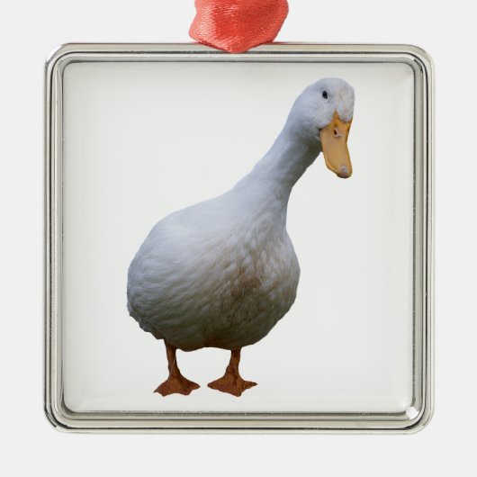 Pekin Duck Ornament (Voorkant)