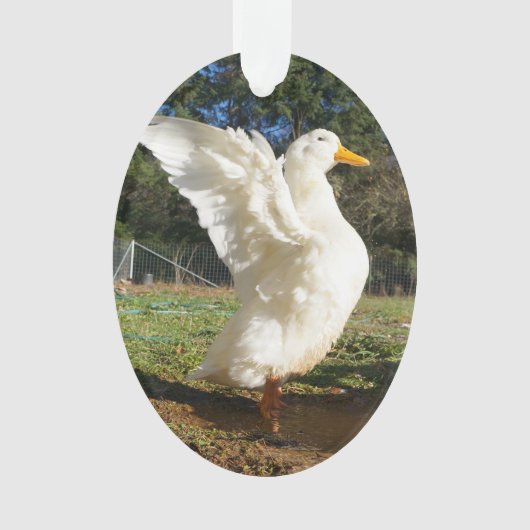 Pekin Duck Ornament (voorkant)