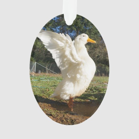 Pekin Duck Ornament (achterkant)