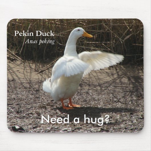 Pekin Duck (wil een Hug?) Mousepad Muismat (Voorkant)