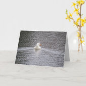 Pekin Duck zwemt Wenskaart weg Kaart (Gele Bloem)