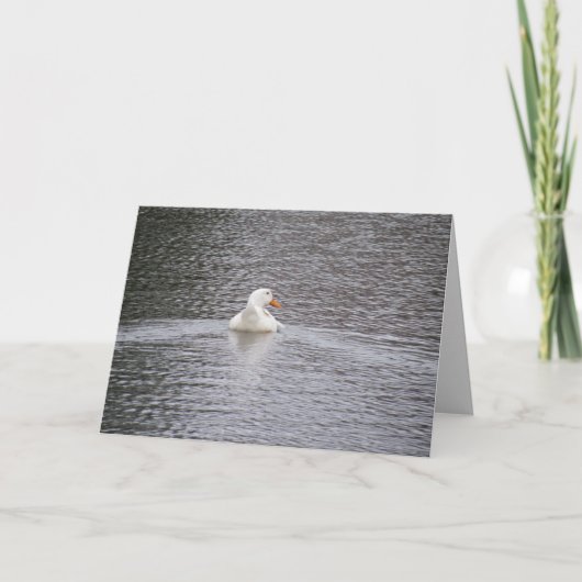 Pekin Duck zwemt Wenskaart weg Kaart (Voorkant)