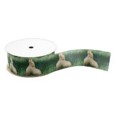 Pekin Ducklings Grosgrain Lint (Spoel)