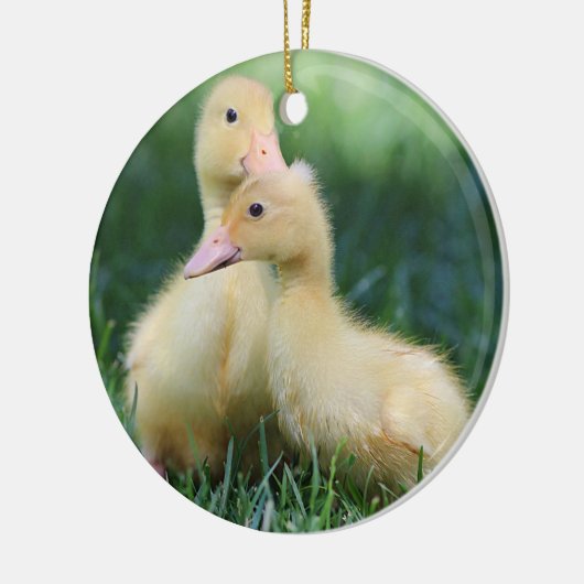 Pekin Ducklings Keramisch Ornament (Links)