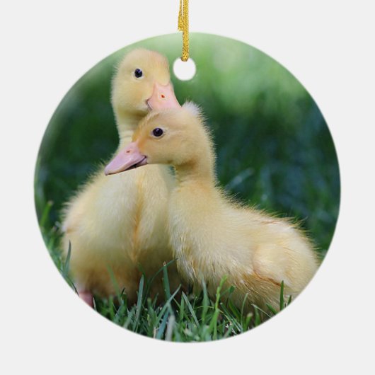 Pekin Ducklings Keramisch Ornament (Achterkant)