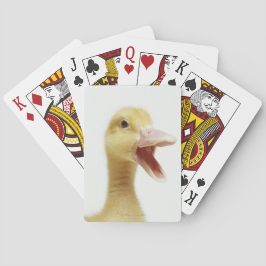 Pekin eend kuiken, close-up van de kop speelkaarten (Achterkant)