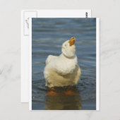 Pekin Shake Briefkaart (Voorkant / Achterkant)