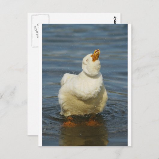 Pekin Shake Briefkaart (Voorkant / Achterkant)