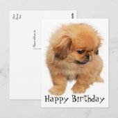 Pekinees Happy Birthday Puppy Hond Zwart Briefkaart (Voorkant / Achterkant)