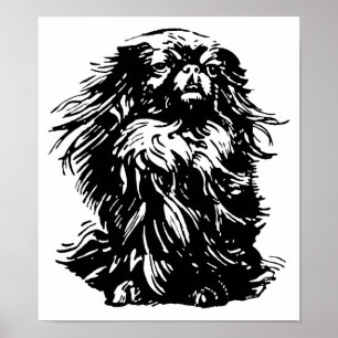Pekinees met waardigheid poster