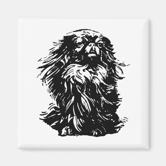 Pekinees waardigheid magneet (Voorkant)
