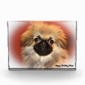 Pekinese Dog Fotoblokken (Voorkant)