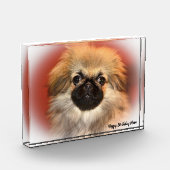 Pekinese Dog Fotoblokken (Links)