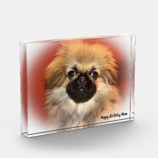 Pekinese Dog Fotoblokken (Links)