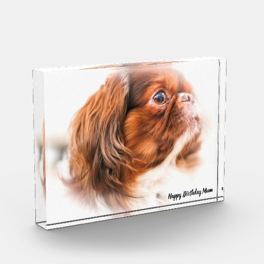 Pekinese Dog Fotoblokken (Links)