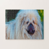 Pekinese Dog. Legpuzzel (Horizontaal)