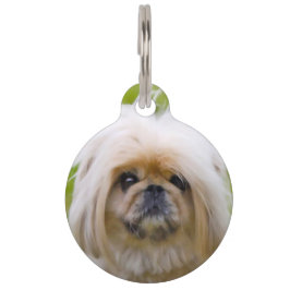 Pekinese hond. huisdierpenning