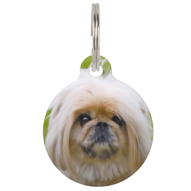 Pekinese hond. huisdierpenning (Voorkant)