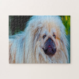 Pekinese hond. legpuzzel