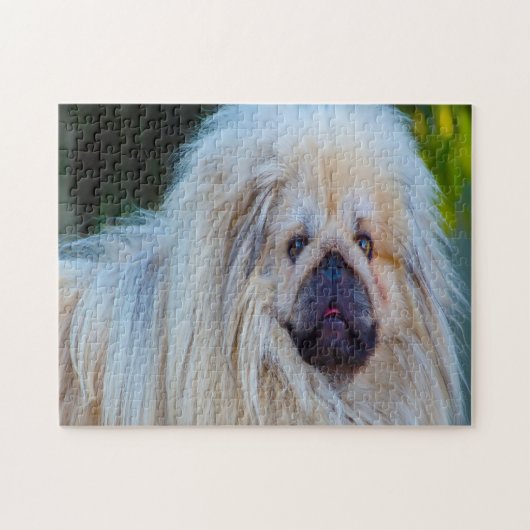 Pekinese hond. legpuzzel (Horizontaal)