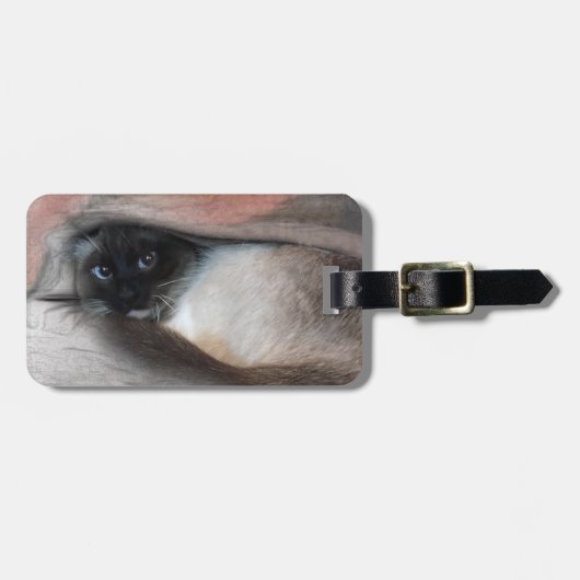 Peking Blue Eyed Siamese Kitten under Blanket Bagagelabel (Voorkant horizontaal)