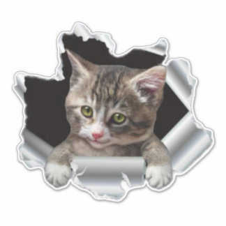 Peking Cat Vinyl Decal |Auto-decal, Bumpersticker Sticker