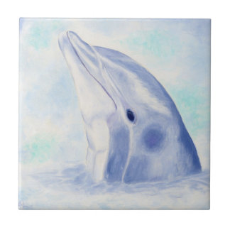 Peking Dolphin Square Tile Tegeltje