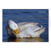 Peking Duck glimlacht een Mona Lisa-glimlach in de (Voorkant Horizontaal)