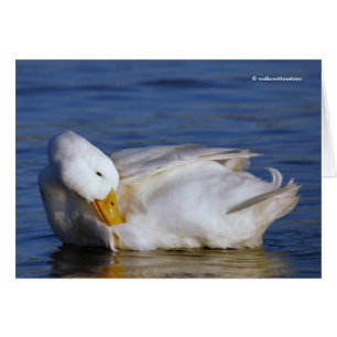 Peking Duck glimlacht een Mona Lisa-glimlach in de